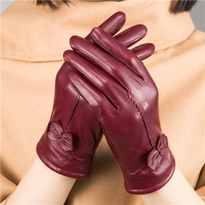 Woman Gloves apparels & accessories