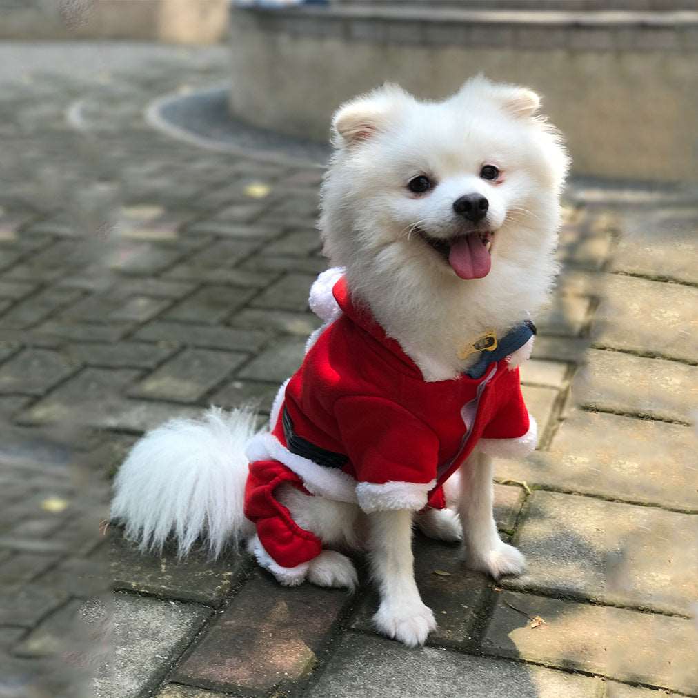 Christmas warm clothes for pets pet cloths