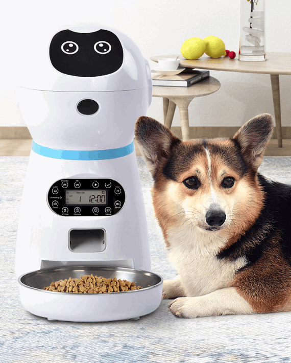 Automatic pet feeder Pet feeder