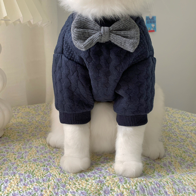 Warm And Cute Clothes For Pets pet cloths