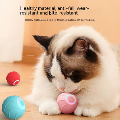 Smart Cat Toys Rolling Ball pet toys