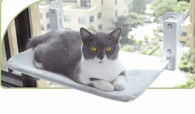 Cat Glass Hammock Pet bed