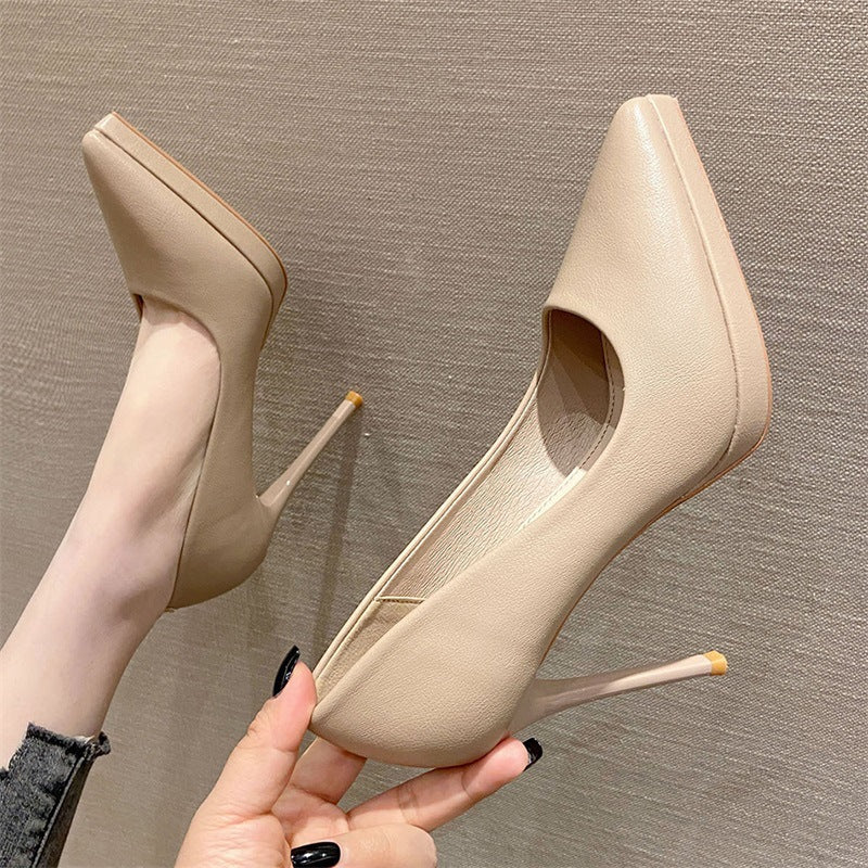 Pointed Toe Sexy High Heels 10cm Stiletto Heel Shoes & Bags