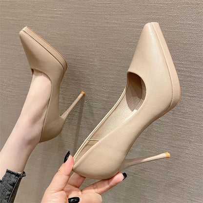 Pointed Toe Sexy High Heels 10cm Stiletto Heel Shoes & Bags