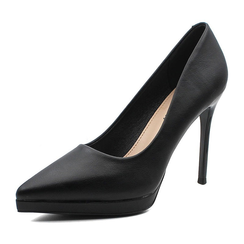 Pointed Toe Sexy High Heels 10cm Stiletto Heel Shoes & Bags