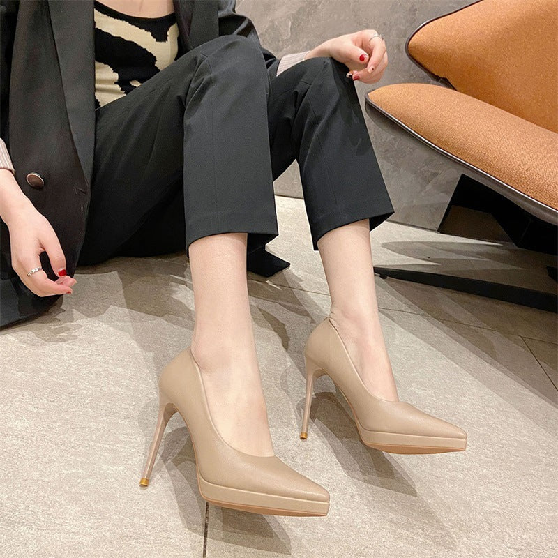 Pointed Toe Sexy High Heels 10cm Stiletto Heel Shoes & Bags