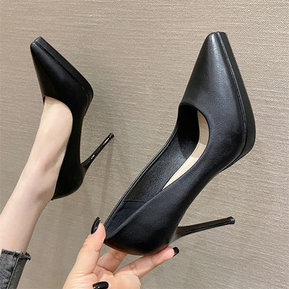 Pointed Toe Sexy High Heels 10cm Stiletto Heel Shoes & Bags