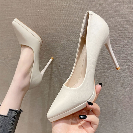 Pointed Toe Sexy High Heels 10cm Stiletto Heel Shoes & Bags