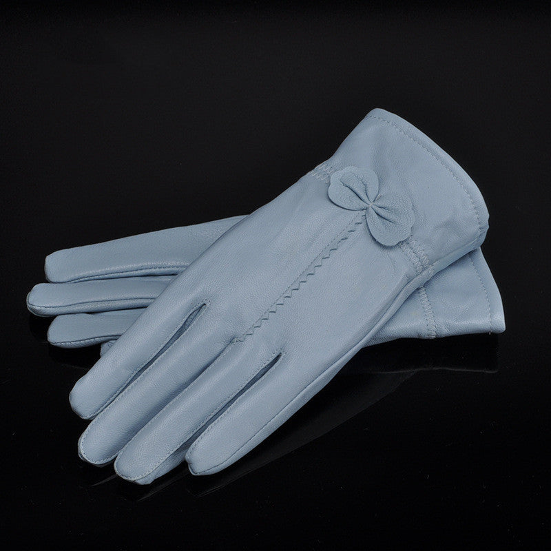 Woman Gloves apparels & accessories