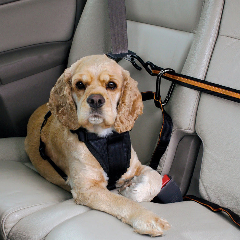 Pet Safety Belt Dual-purpose Car Lanyard Pet essential