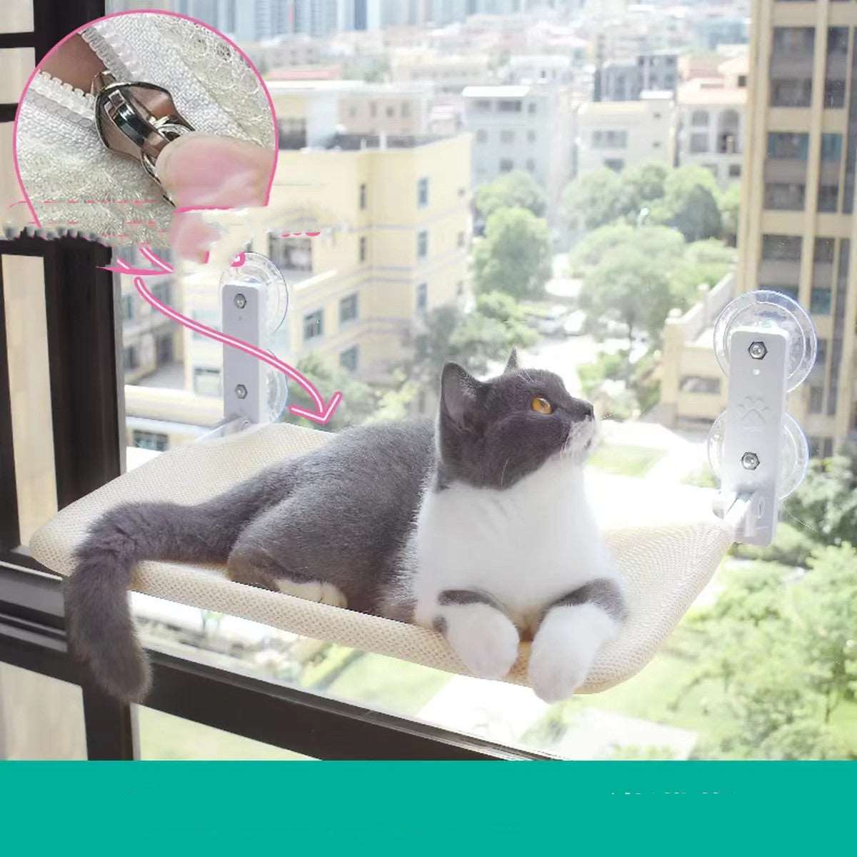 Cat Glass Hammock Pet bed