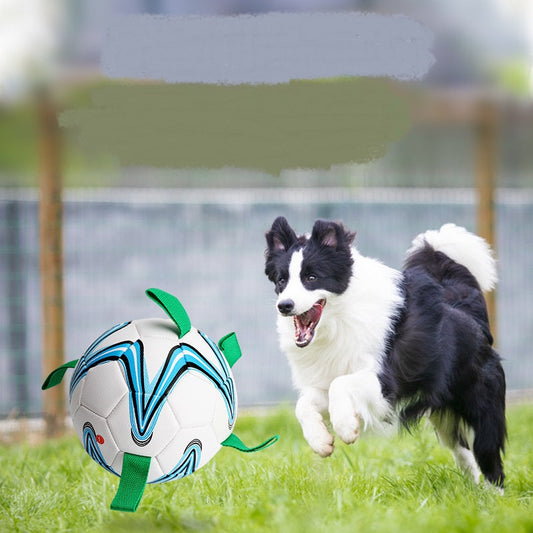 Pet Training With Rope Football Pet Products