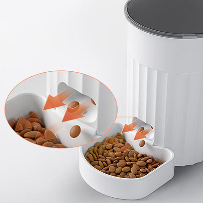 Cat Automatic Intelligent Pet Feeder Pet feeder