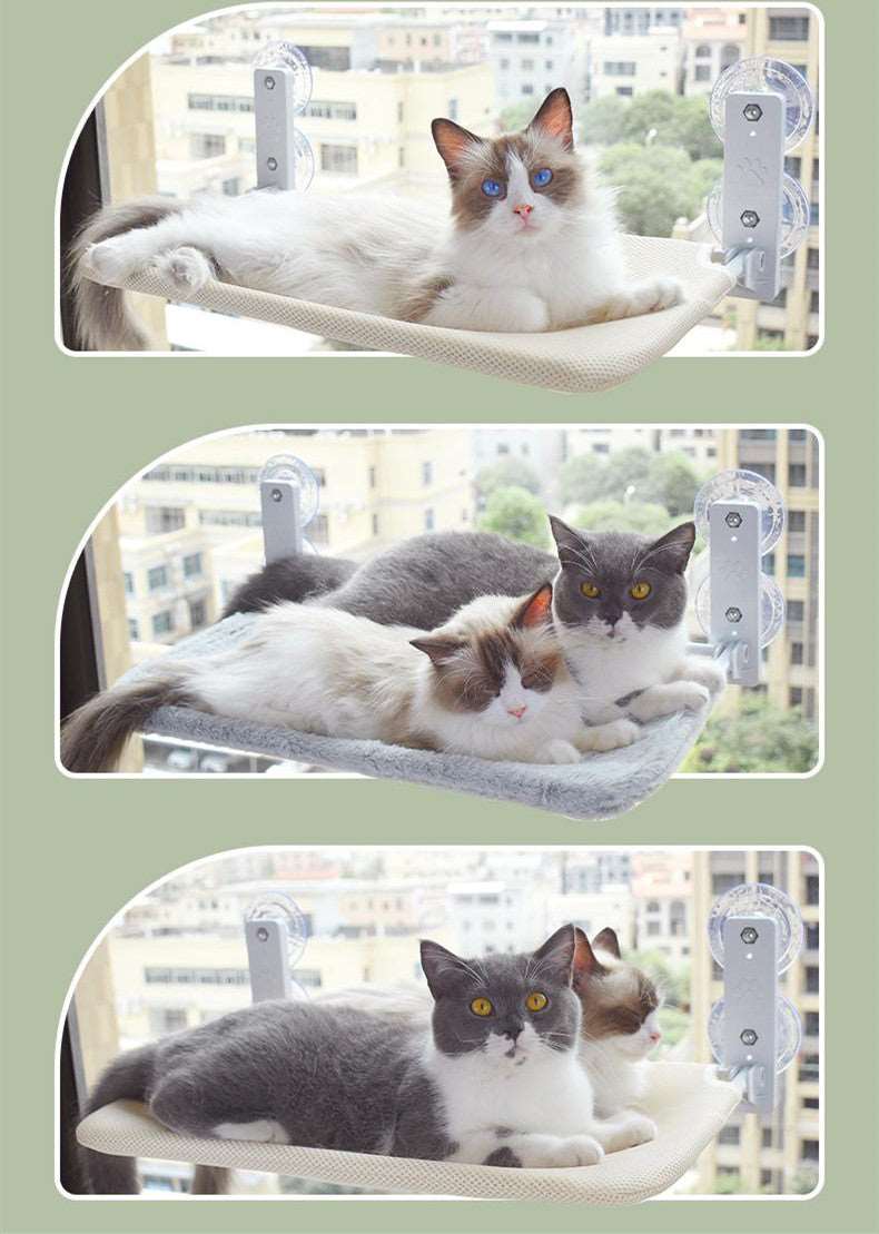 Cat Glass Hammock Pet bed