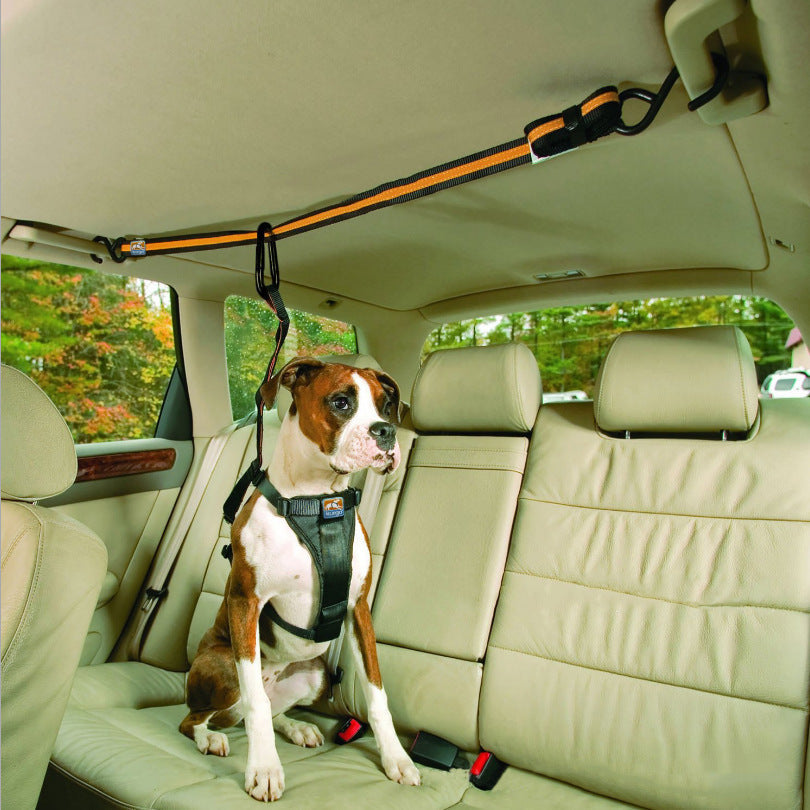 Pet Safety Belt Dual-purpose Car Lanyard Pet essential