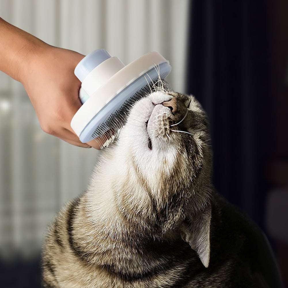 Cat Grooming Pet Hair Remover Brush Pet Hair brush