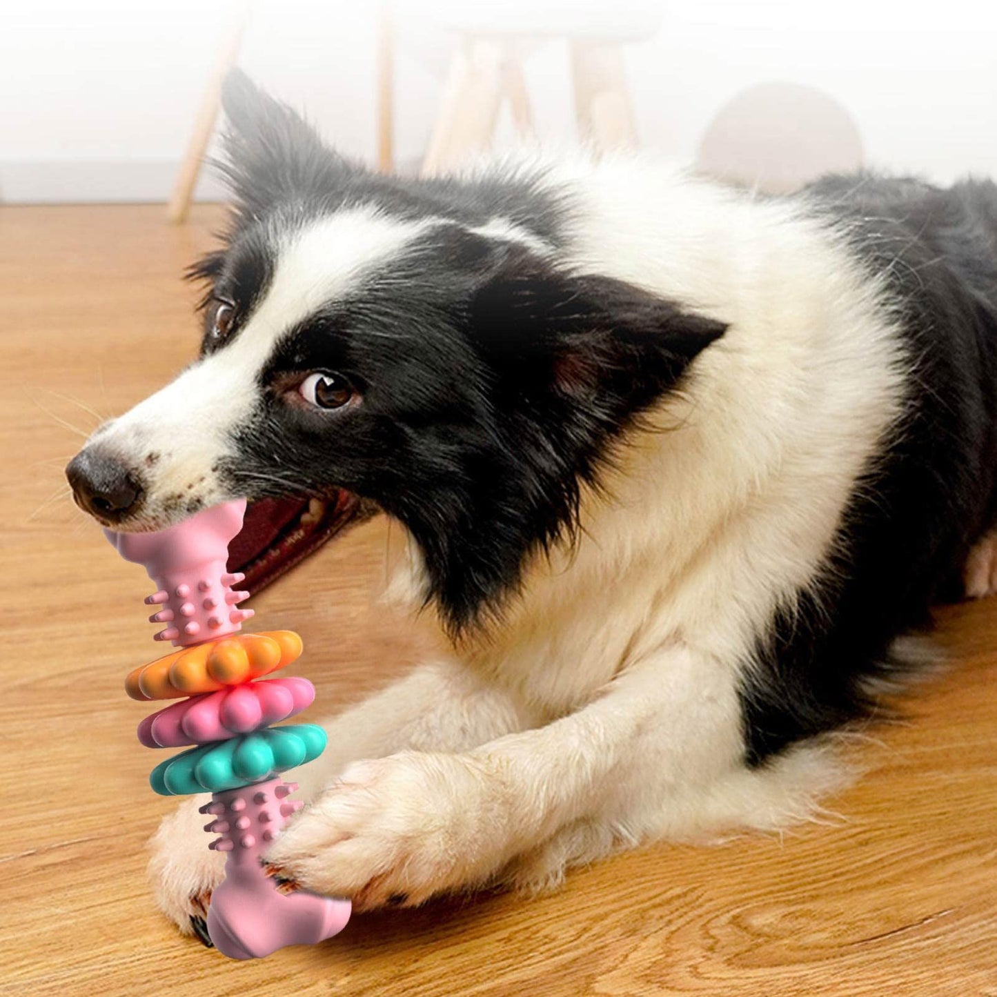 Dog Chew Toy Bone Type Dog Toys