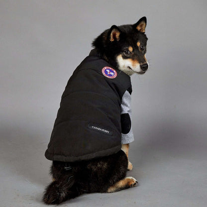 Large Dog Winter Warm Pet Vest pet cloths