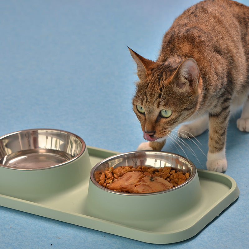 Non-slip Stainless Steel Feeder Cat Bowl Pet feeder