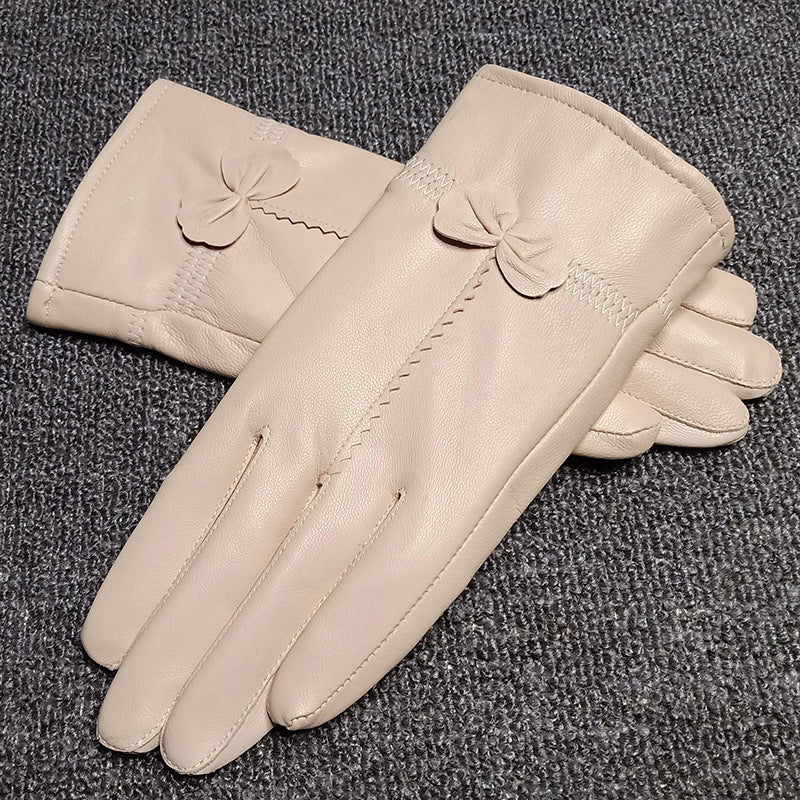 Woman Gloves apparels & accessories