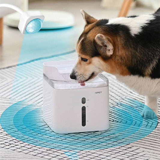 Mobile Pet Drinking Water Filtration Pet Water filter
