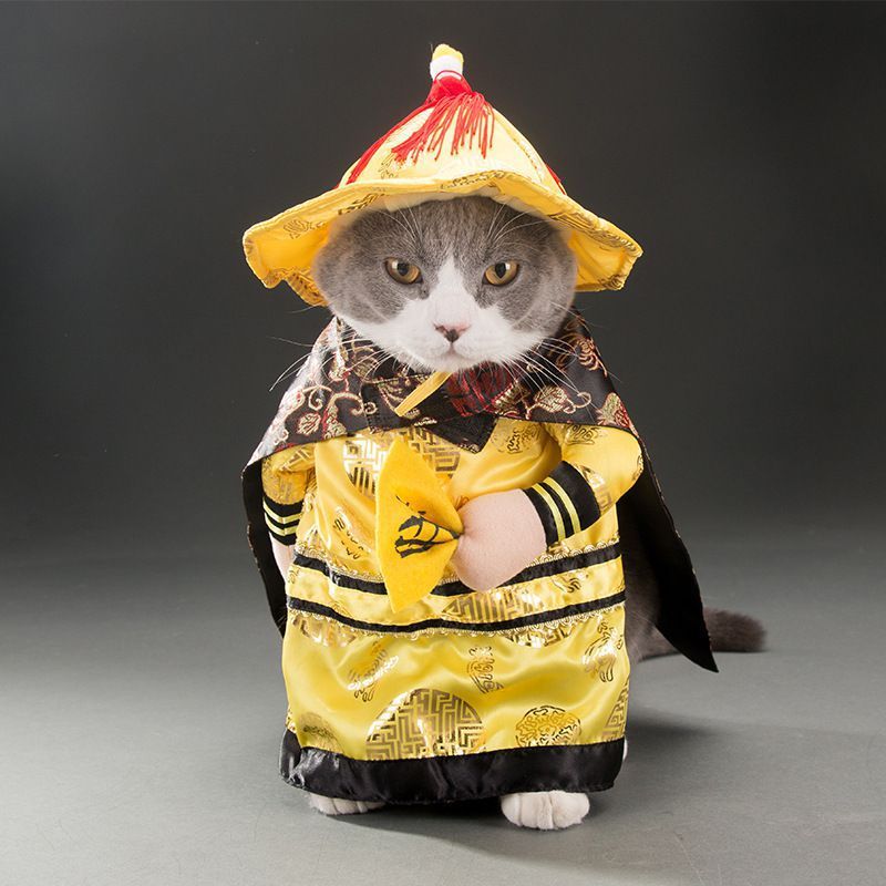 autumn pet cat costume halloween