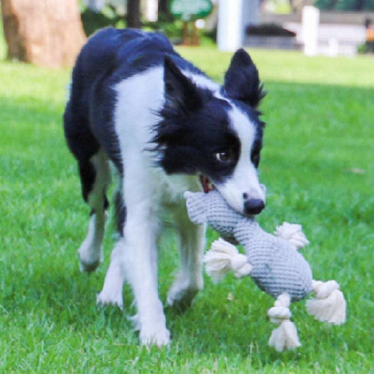 Bite-resistant Interactive Pet Dog Toy Pet Products