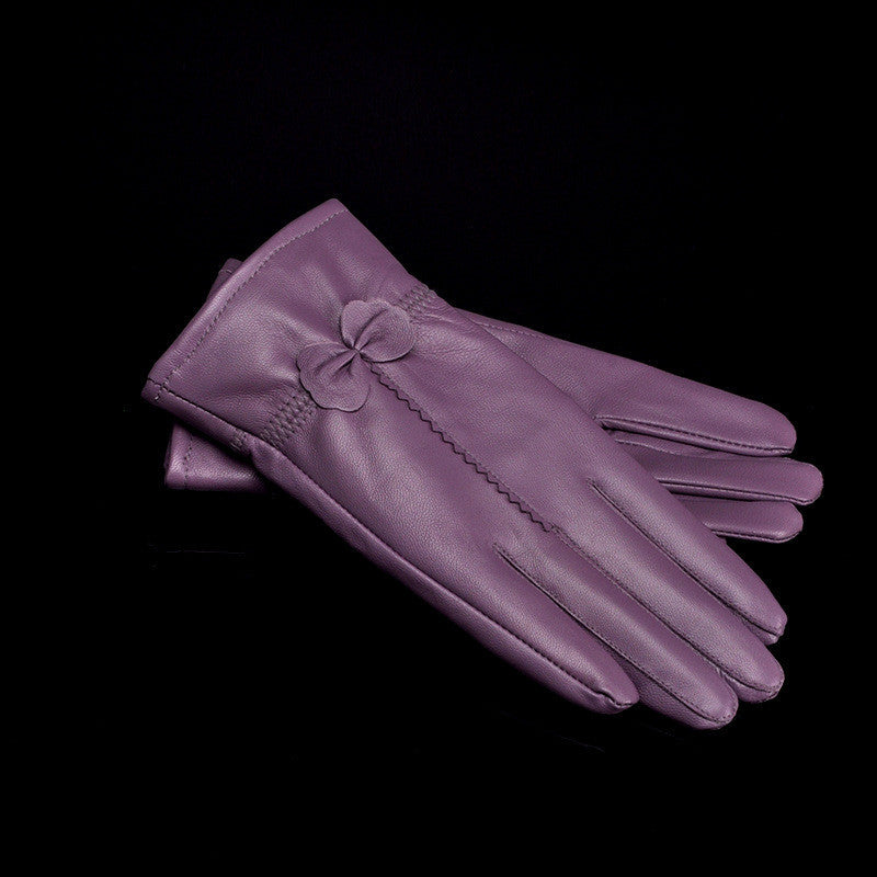 Woman Gloves apparels & accessories