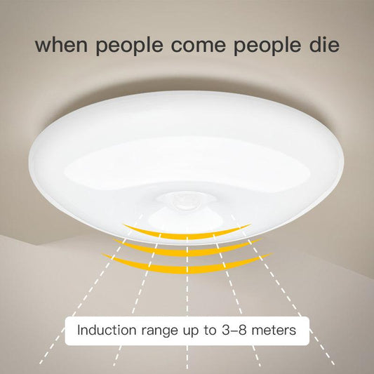 Human Induction Ceiling Lamp Home product