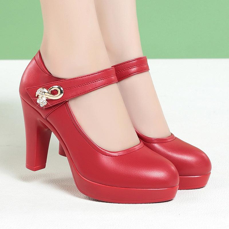 Women's Stylish Platform Chunky High Heels Shoes & Bags