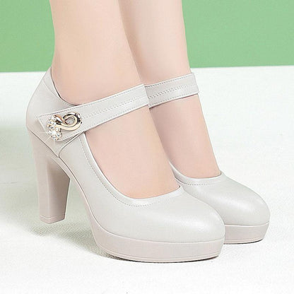 Women's Stylish Platform Chunky High Heels Shoes & Bags